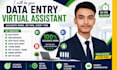 provide targeted b2b leads linkedin leads and data entry services