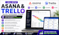 setup asana and trello project management system