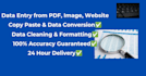 do fast and accurate excel data entry for 5 USD