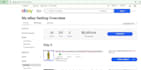 manage your ebay account as a virtual assistant, VA and related issues