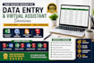 do professional excel data entry,data entry,exel, copy paste