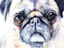 paint digital watercolour illustration