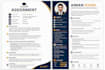 help with professional assignment work