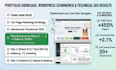 create viral a professional wordpress ecommerce website with advanced SEO