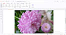 do any of file converted