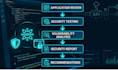 perform web application security testing and basic vapt