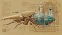 do medical and scientific illustrations