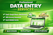 accurate data entry, excel