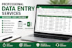 do excel data entry