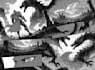 illustrate cinematic manga comic pages