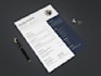 do professional resume design, resume editing, cv writting