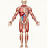 create medical educational scientific arts