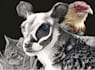 create realistic animal illustration