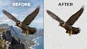 do professional product background removal for amazon and shopify