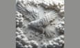 3d skybird model 3d bas relief sculpture cnc engraving 3d mythological statue