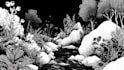 draw simple black and white illustration
