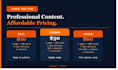 write professional SEO website content for your business