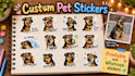 create a x12 pack custom pet stickers
