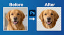 do professional head cropping and cutout