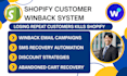 set up shopify customer winback and reactivation systems