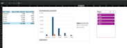 create a professional excel dashboard and data visualization