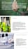 design professional scientific and business presentations