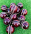 be your professional leather cricket ball manufacturer