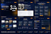 develop custom web applications, portals and admin dashboards
