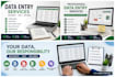 professional data entry and copy right service