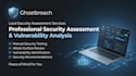 do a professional website security assessment