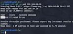 conduct a professional penetration test