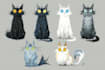 design custom pet portrait