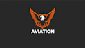 design unique eagle aviation mascot logo in 12 hours