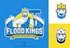 design a professional cleaning and maintenance logo