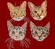convert image to embroidery digitizing desigion