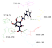 perform molecular docking and drug discovery analysis