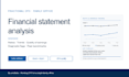 analyze your financial statements and flag the issues only a cfo would