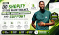 do shopify store maintenance, bug fix, speed optimization and support