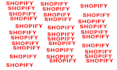 help maintain and set up your shopify store