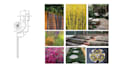 create exceptional garden and landscape design