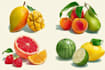 do food and drink illustration