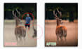 remove people or objects in photos