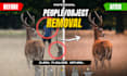 remove people or objects in photos