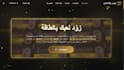 design and build a professional arabic and english website