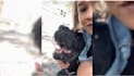 create a pet ugc video ad for your pet product or service