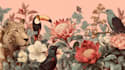 draw animal and botanical illustrations