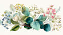create a botanical watercolor illustration