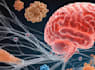 create scientific and medical illustrations