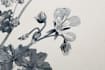 do a botanical illustration