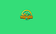 create a creative chameleon logo design